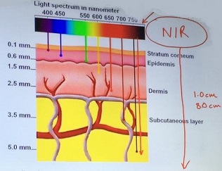 Inra red skin photo